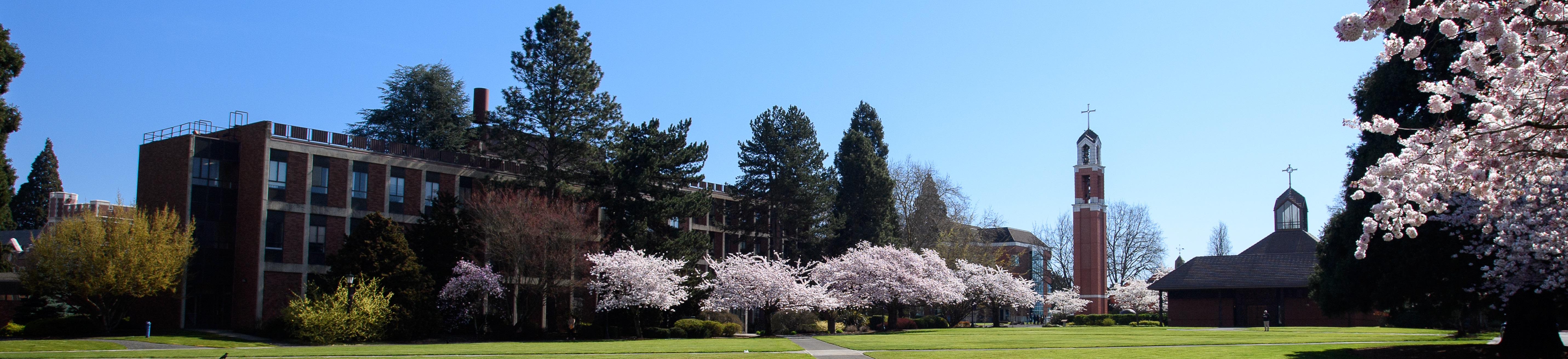 University of Portland blossom trees and Buckley Center