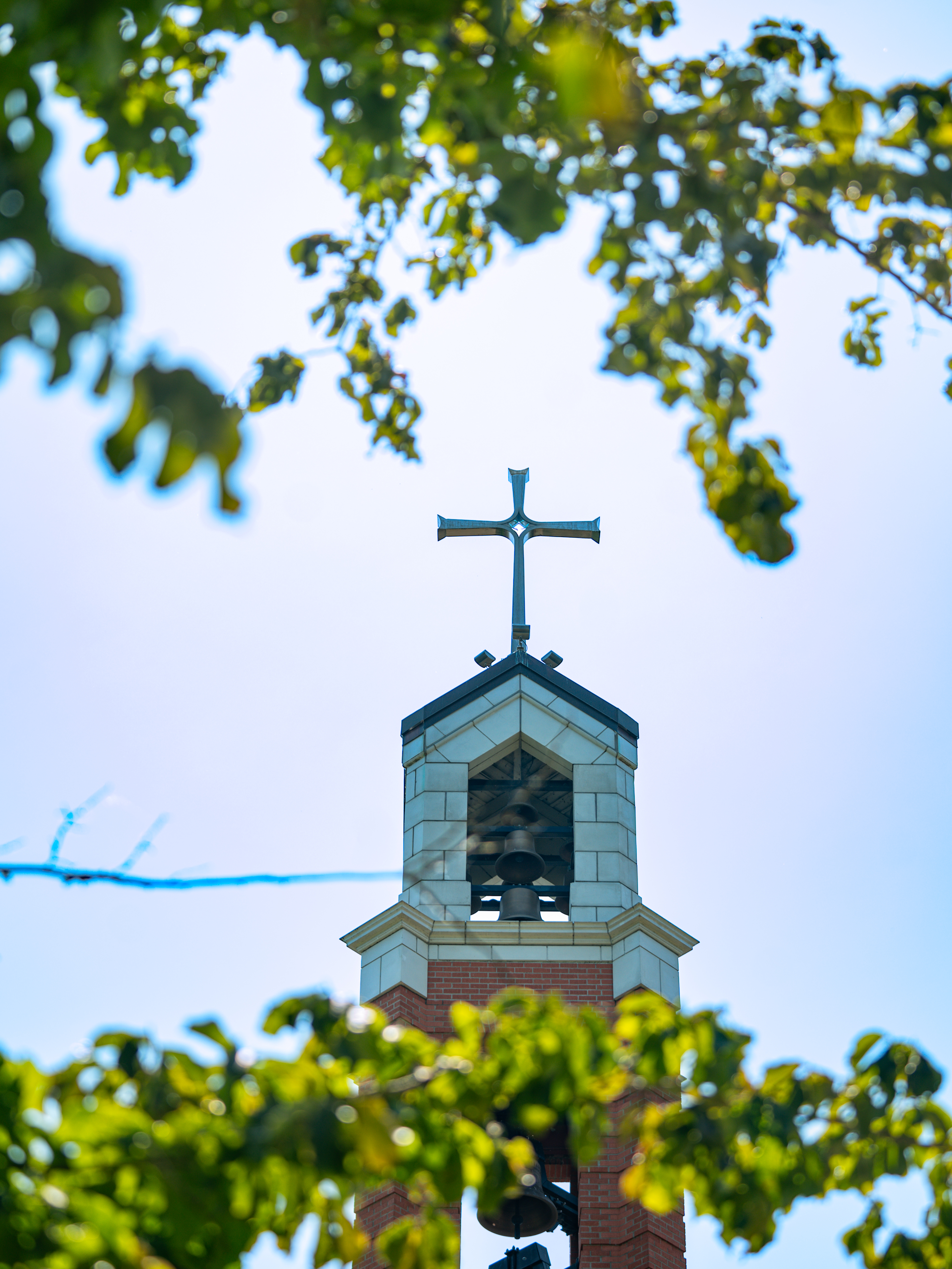 Bell Tower through the trees