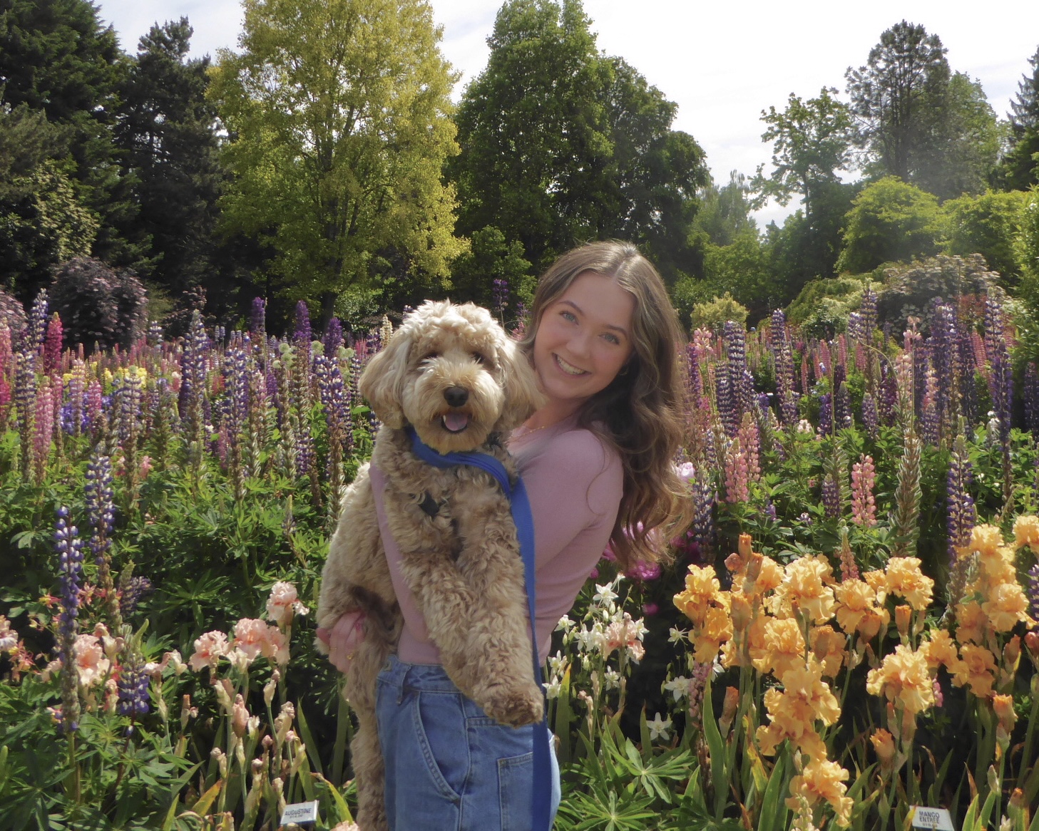 clare kennedy holding a dog in front of flowers