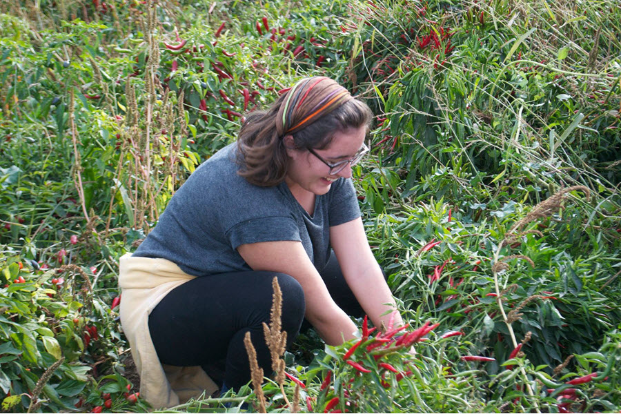 A volunteer smiles while working in a garden