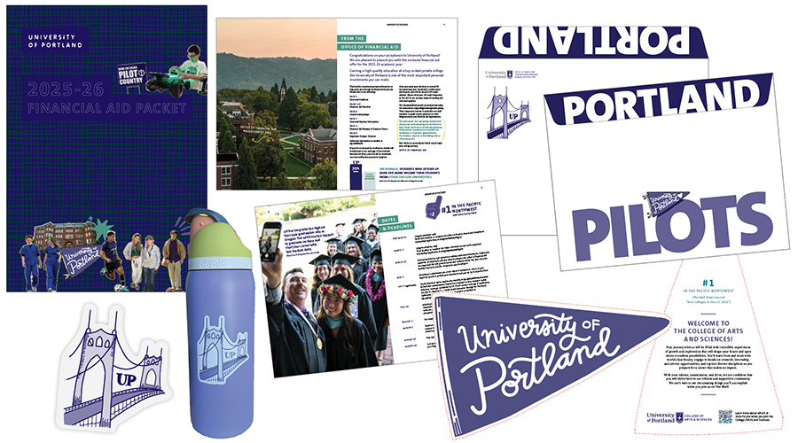 graphic collage of the designs for Financial Aid