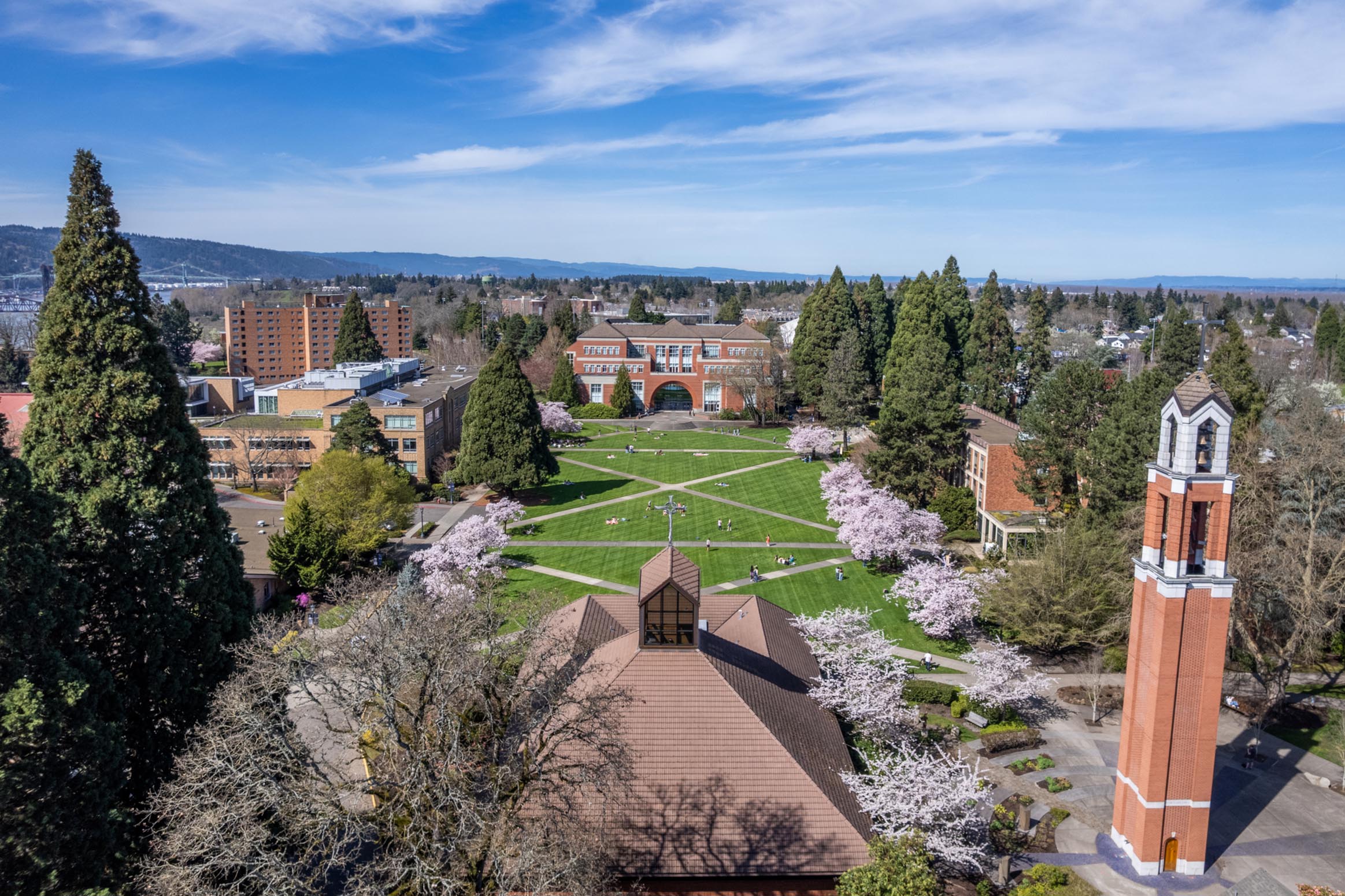 aerial view of the quad with Franz in the background and cherry blossoms blooming.