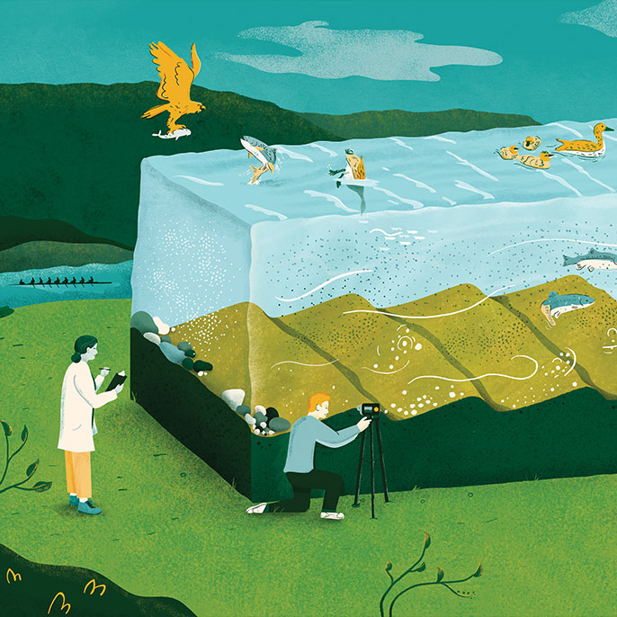 Illustration of A River Runs in It