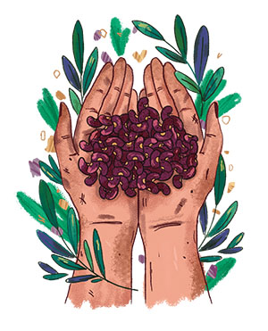 Cupped hands holding beans.