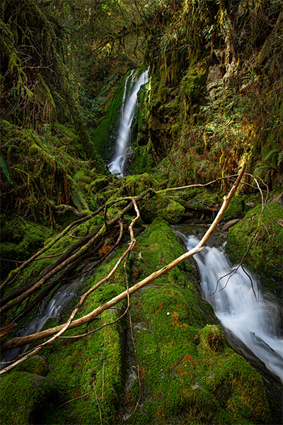 Waterfall in Olympic National Park