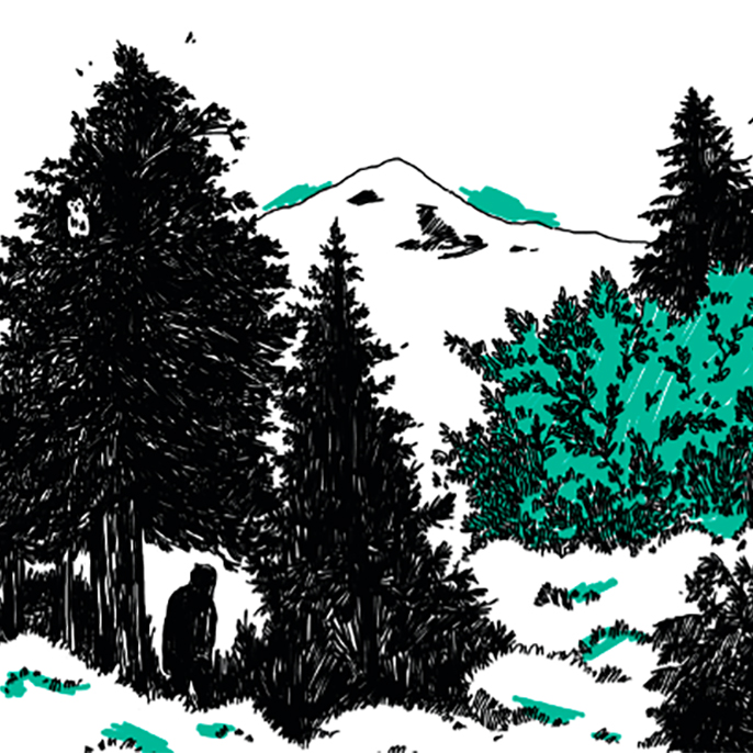 Illustration of woods and mountain landscape
