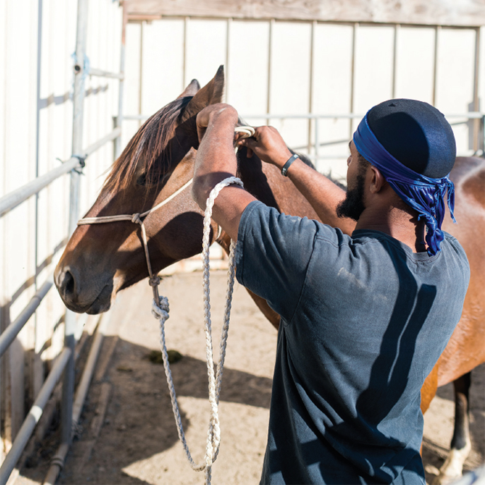 Compton Cowboy with horse