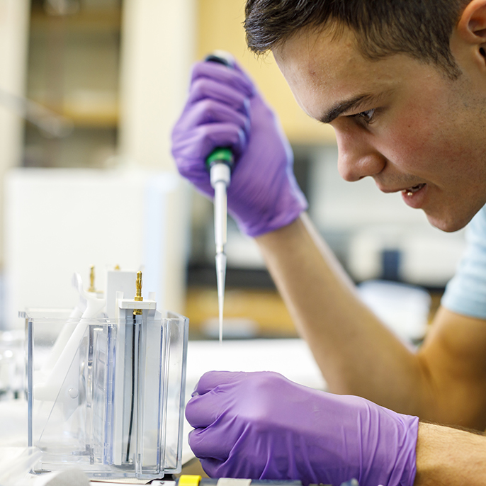 Forbes ranks UP 18th in STEM Colleges