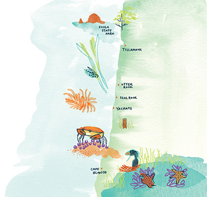 Tide pool coastal map