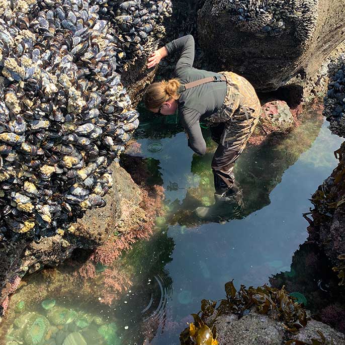 Tara Prestholdt among the mussels