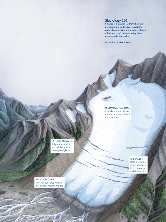 An illustration titled "Glaciology 101" that shows the various zones and features of a glacier.