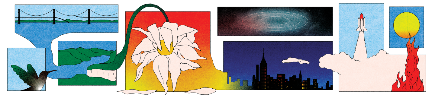 Illustration of transitions by Allie Sullberg