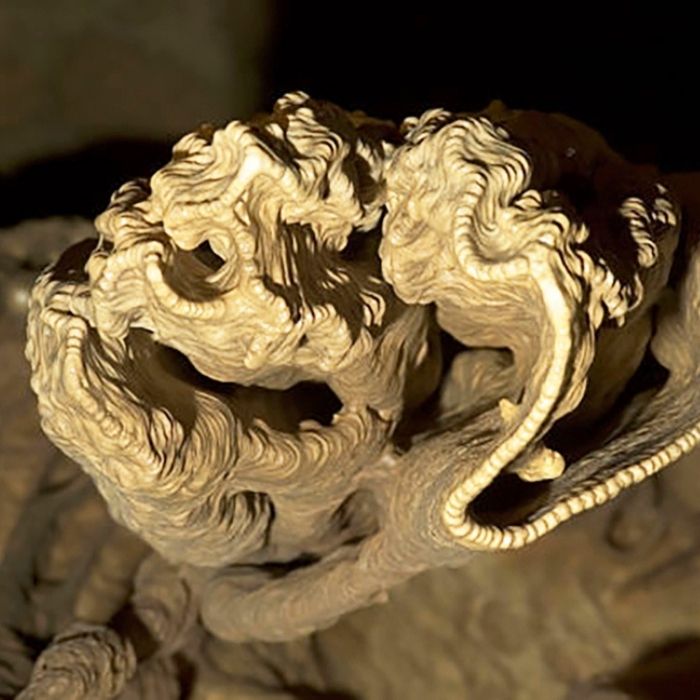 A gnarled rock formation in a cave