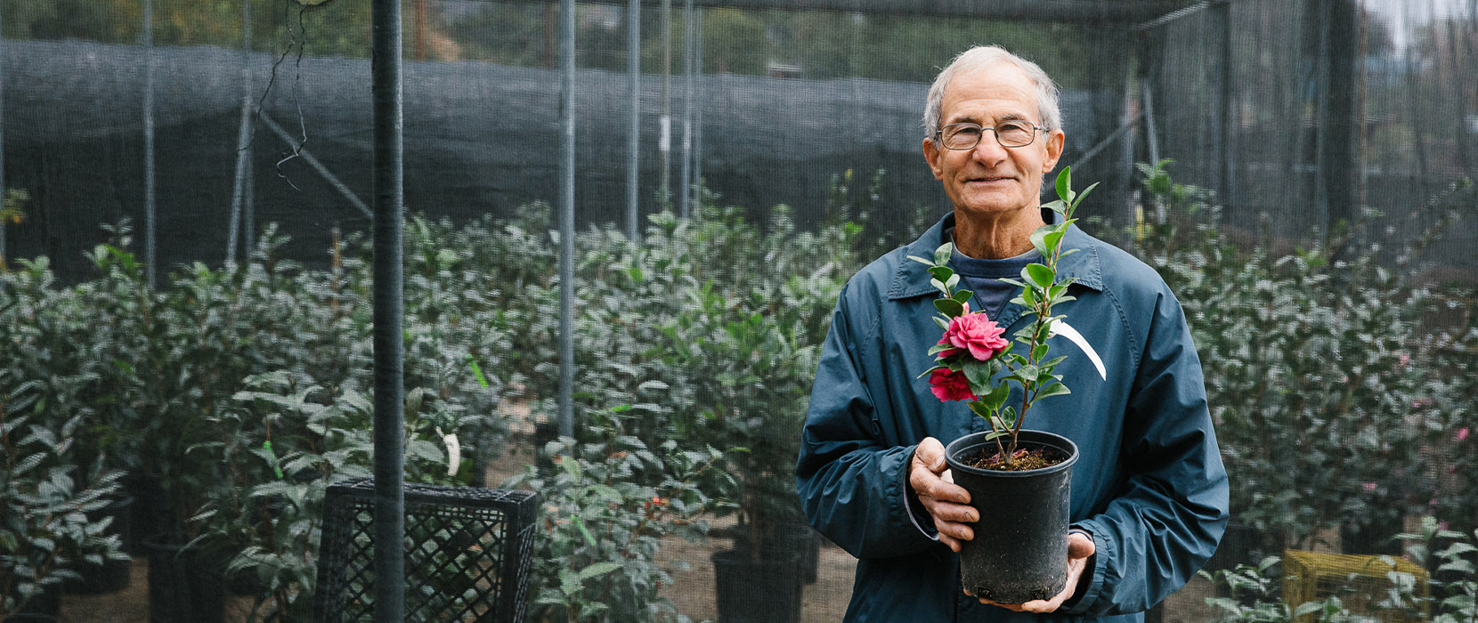 Jim Nuccio stands in his nursery holding a pot with a beautiful pink flower inside.