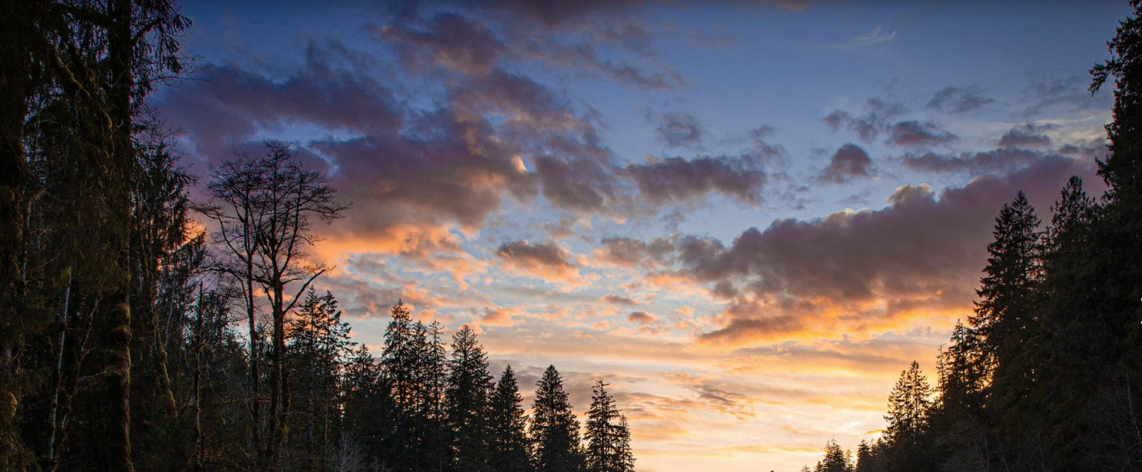 Sunset in the Olympic National Park wilderness