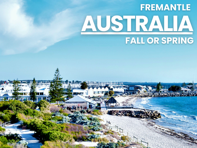 Australian beach with program name on top right