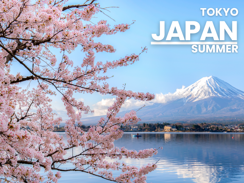 cherry blossom in front of Mount Fuji